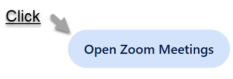 join jer zoom button