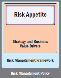 risk appetitite risk appetitite